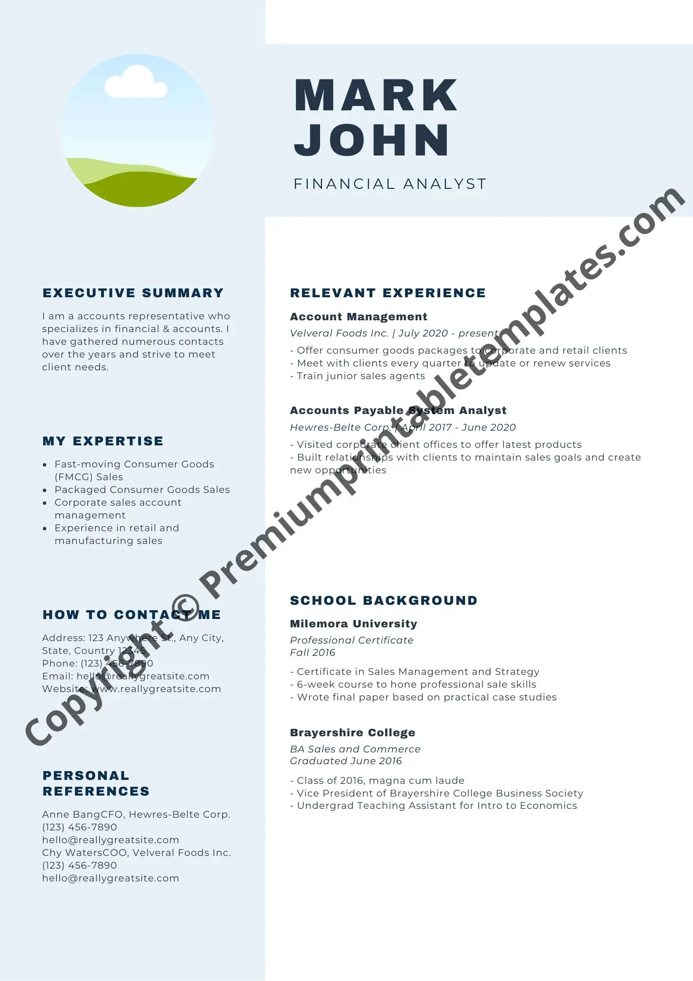 financial analyst resume