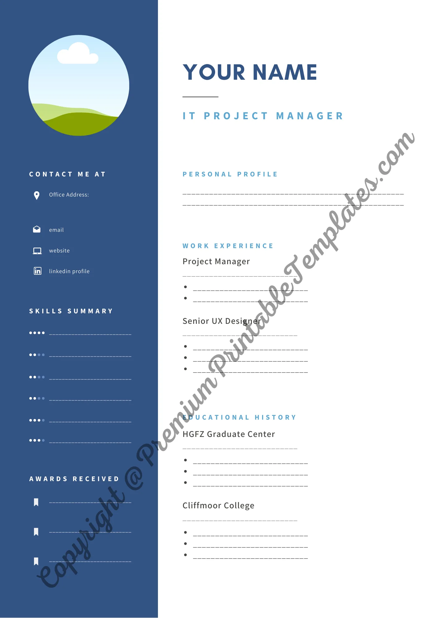 Professional Resume